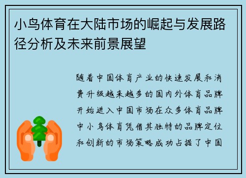 小鸟体育在大陆市场的崛起与发展路径分析及未来前景展望